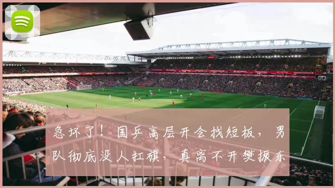 急坏了！国乒高层开会找短板，男队彻底没人扛旗，真离不开樊振东