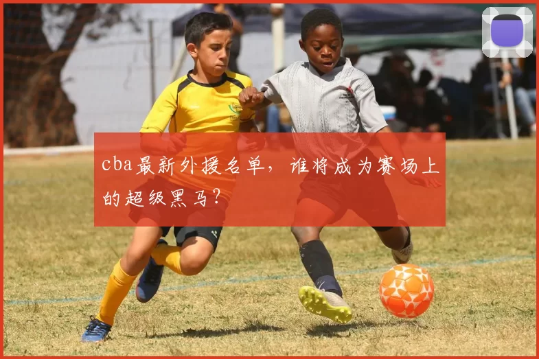 cba最新外援名单，谁将成为赛场上的超级黑马？