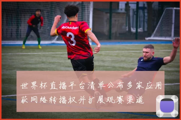 世界杯直播平台清单公布多家应用获网络转播权并扩展观赛渠道