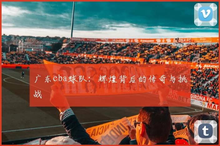 广东cba球队：辉煌背后的传奇与挑战