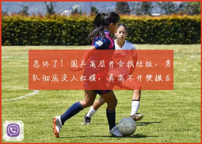 急坏了！国乒高层开会找短板，男队彻底没人扛旗，真离不开樊振东