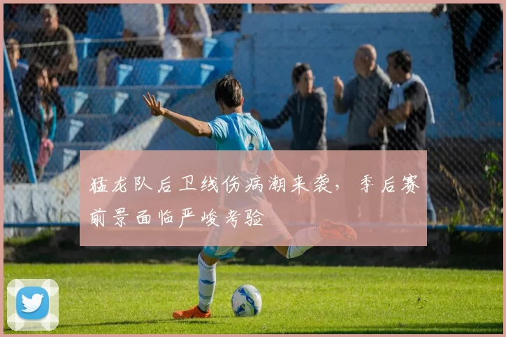 猛龙队后卫线伤病潮来袭，季后赛前景面临严峻考验